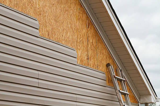 Professional Emergency Siding Repair technician working in Seffner, FL